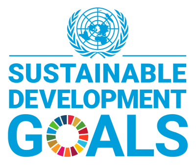 UN SDG logo